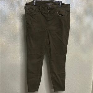 Torrid Dark Olive Women Jeggings